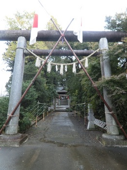 a有賀神社1.jpg